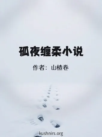 孤夜缠柔小说