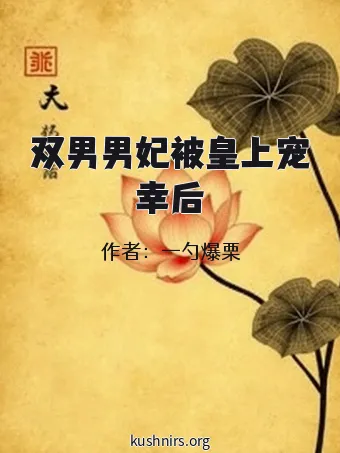 双男男妃被皇上宠幸后