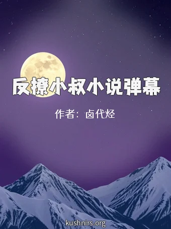 反撩小叔小说弹幕