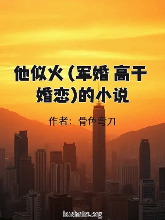 他似火 (军婚 高干 婚恋)的小说