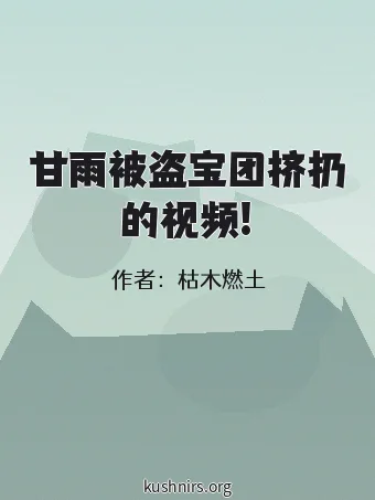 甘雨被盗宝团挤扔的视频!