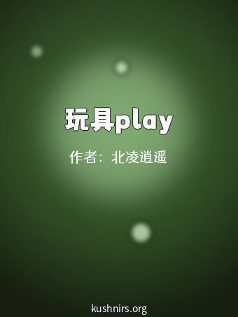 玩具play