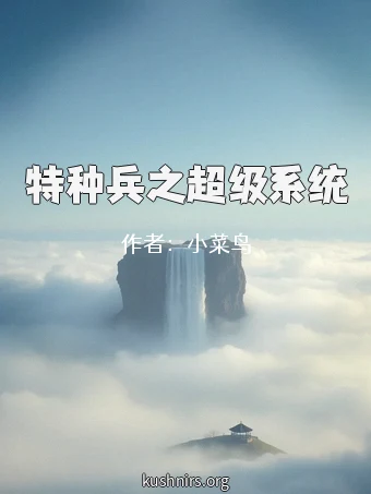 特种兵之超级系统
