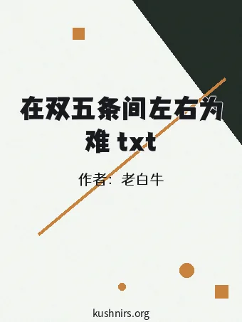在双五条间左右为难 txt