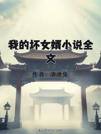 我的坏女婿小说全文