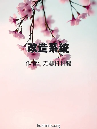 改造系统