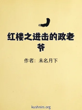 红楼之进击的政老爷
