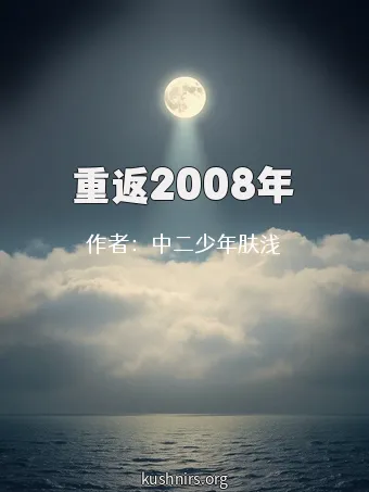 重返2008年