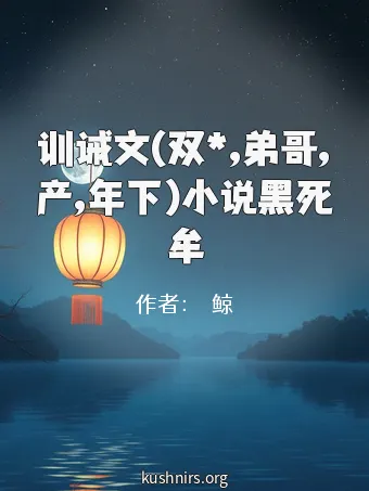 训诫文(双*,弟哥,产,年下)小说黑死牟