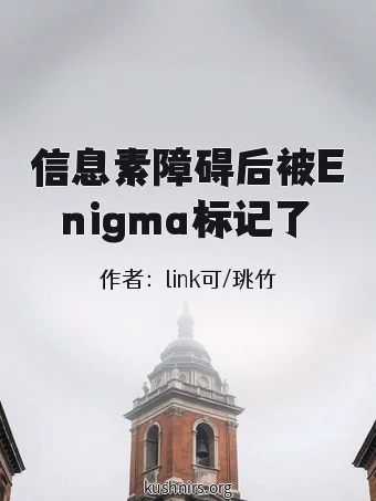 信息素障碍后被Enigma标记了