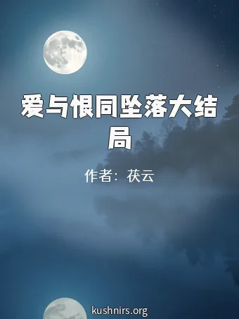 爱与恨同坠落大结局