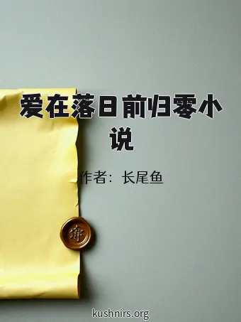 爱在落日前归零小说