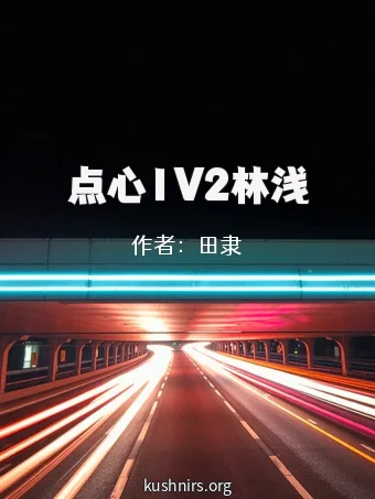 点心1V2林浅