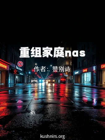 重组家庭nas