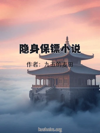 隐身保镖小说
