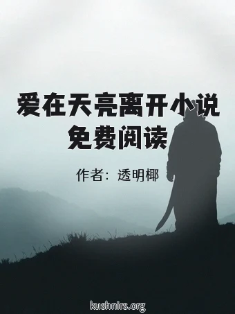 爱在天亮离开小说免费阅读
