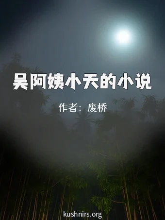 吴阿姨小天的小说