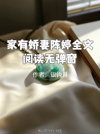 家有娇妻陈婷全文阅读无弹窗