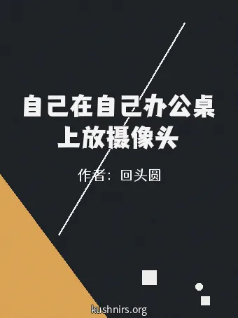 自己在自己办公桌上放摄像头