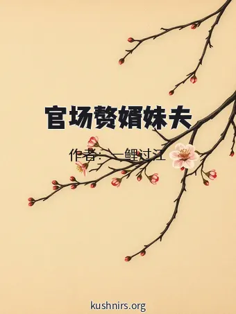 官场赘婿妹夫