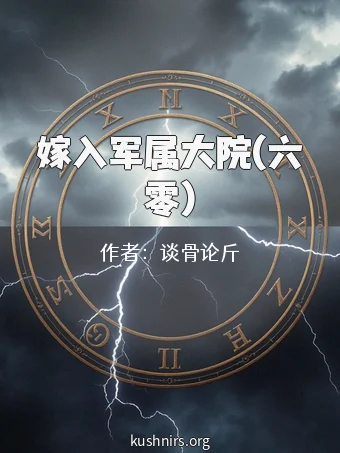 嫁入军属大院(六零)