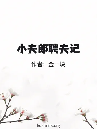 小夫郎聘夫记