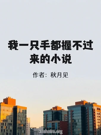 我一只手都握不过来的小说