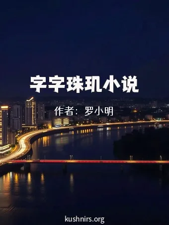 字字珠玑小说