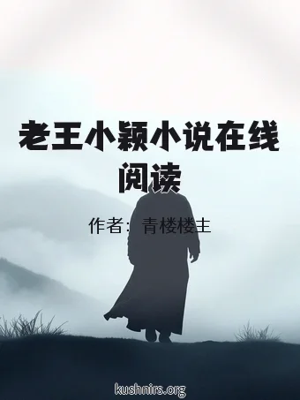 老王小颖小说在线阅读