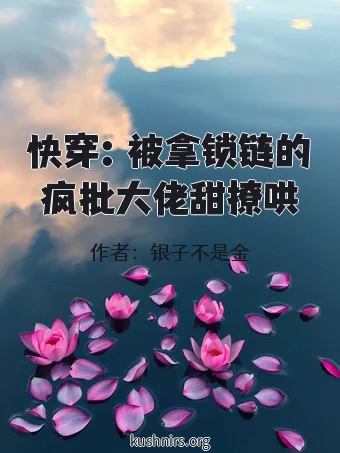 快穿：被拿锁链的疯批大佬甜撩哄