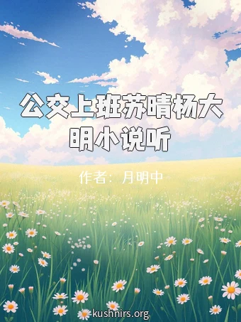 公交上班苏晴杨大明小说听
