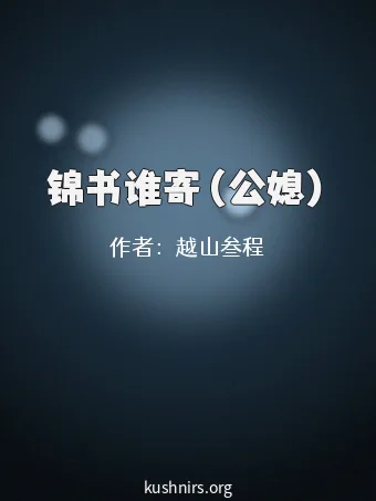 锦书谁寄（公媳）