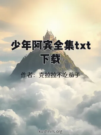 少年阿宾全集txt下载