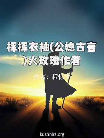 挥挥衣袖(公媳古言)火玫瑰作者