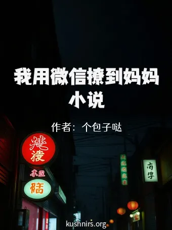 我用微信撩到妈妈小说
