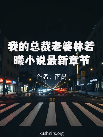 我的总裁老婆林若曦小说最新章节