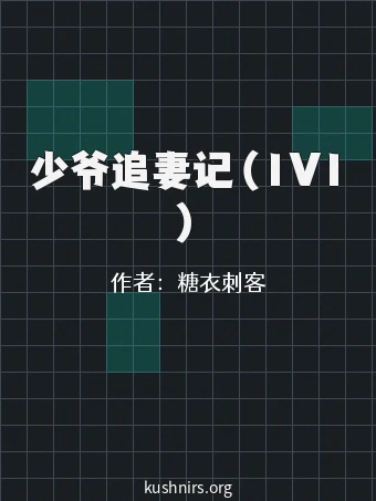 少爷追妻记（1V1）