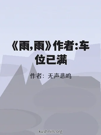 《雨,雨》作者:车位已满