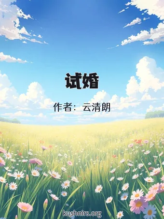 试婚