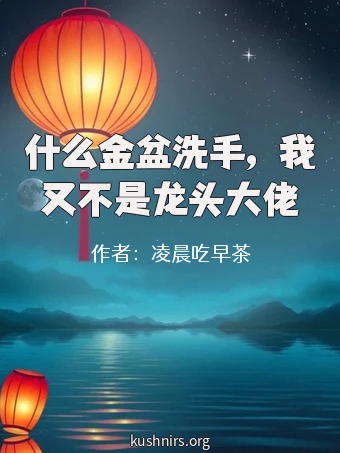 什么金盆洗手，我又不是龙头大佬