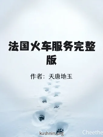 法国火车服务完整版