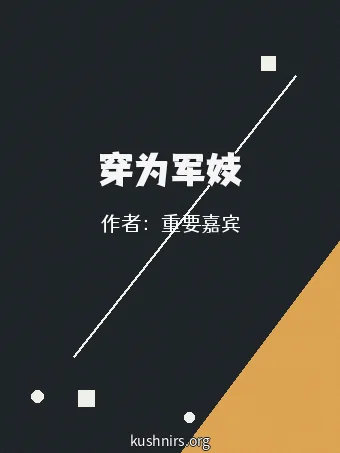 穿为军妓