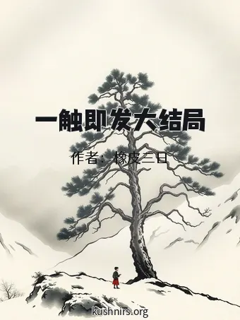 一触即发大结局