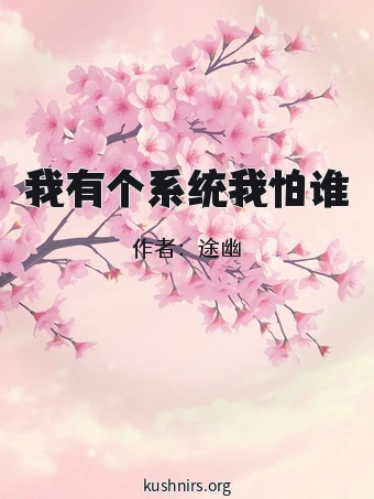 我有个系统我怕谁