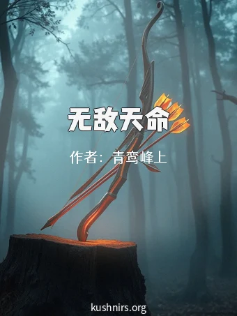 无敌天命