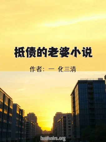 抵债的老婆小说
