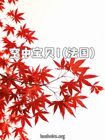 空中宝贝1(法国)