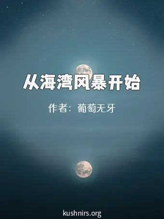 从海湾风暴开始