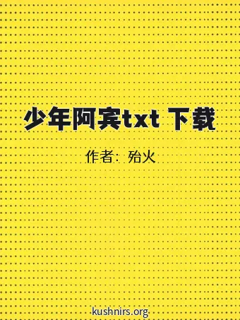 少年阿宾txt 下载