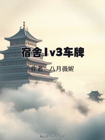 宿舍1v3车牌